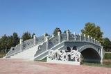 文章附圖