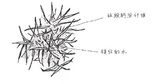 文章附圖
