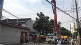 文章附圖